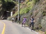 IMG_7807-600x450