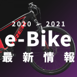 2020-2021_Icon_e-bike