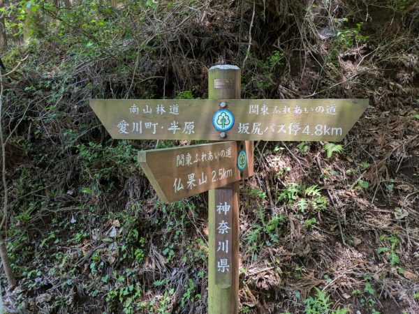 Image (19)